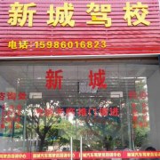 魏教练
