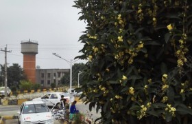 教学环境