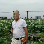 马良高