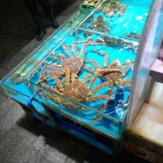 沈阳
