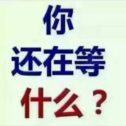军哥