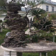 洪教练