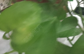 教學(xué)環(huán)境