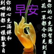 林宝叶