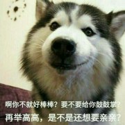 李新宇