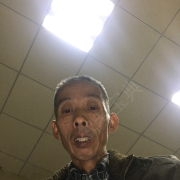 陈金发