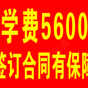 张教练