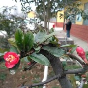 教學(xué)環(huán)境