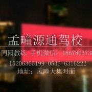 张同园