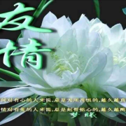 朱慧萍