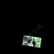 周连树