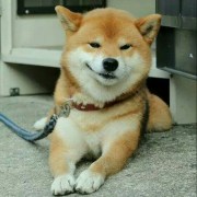 大哥大
