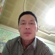 金德苹