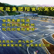 谭楚金