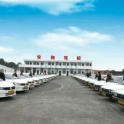 陈教练