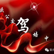 重庆公交驾校