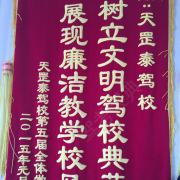 杨教练