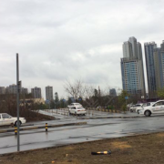 杨教练