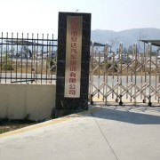 黄种育