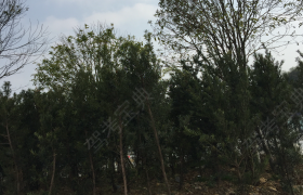 教學(xué)環(huán)境