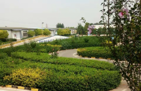 教学环境