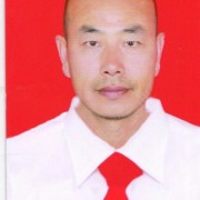 陈柏林