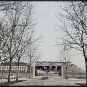 张磊