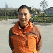 张成平