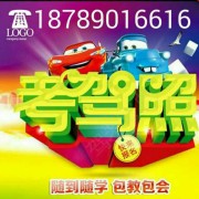 钢仔