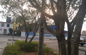 教学环境