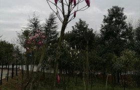 教學(xué)環(huán)境