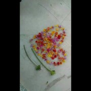 大学城王屹练