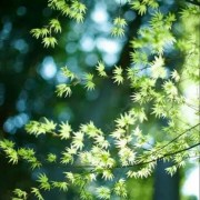 龙小贞