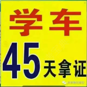 陈飞