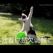 田教练