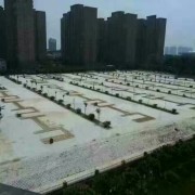李文辉
