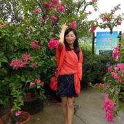 高如兰