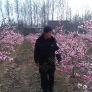 王涛