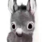糊糊