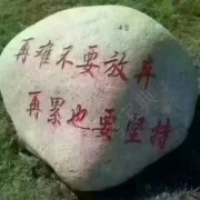 龚教练