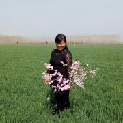庄增芹