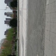 张岩