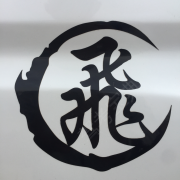 大飞