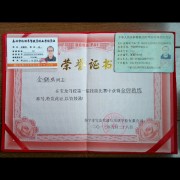 金鹤鸣