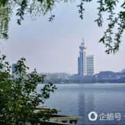 何爱民