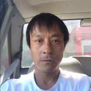卫晓春