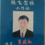 肖建红
