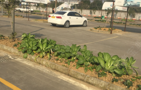 教学环境