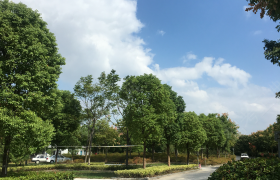 教学环境