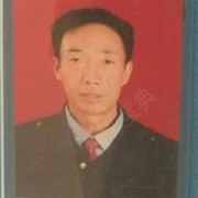 鲁平改